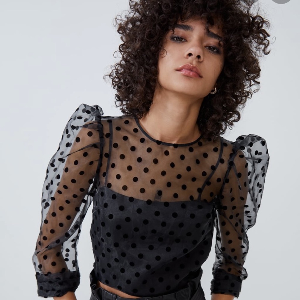 Zara organza polka dot top